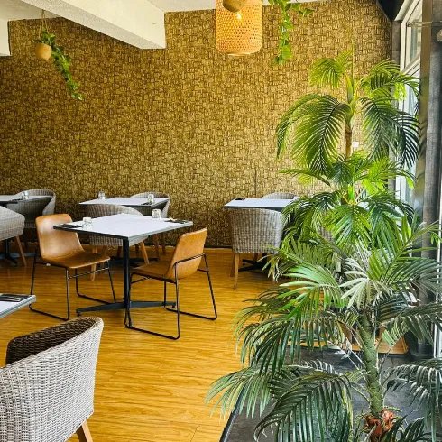 Jungle&caves Fusion Indian Restaurant and cafe photo 6