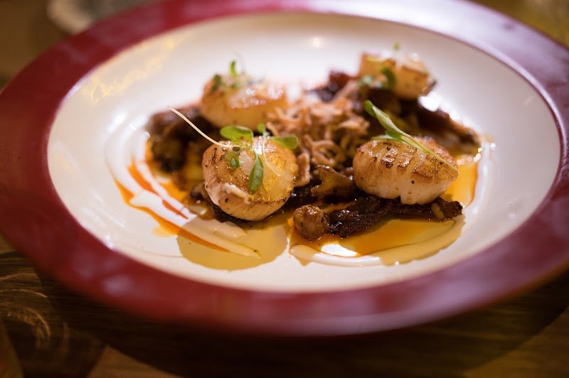 Lions And Tigers photo 4